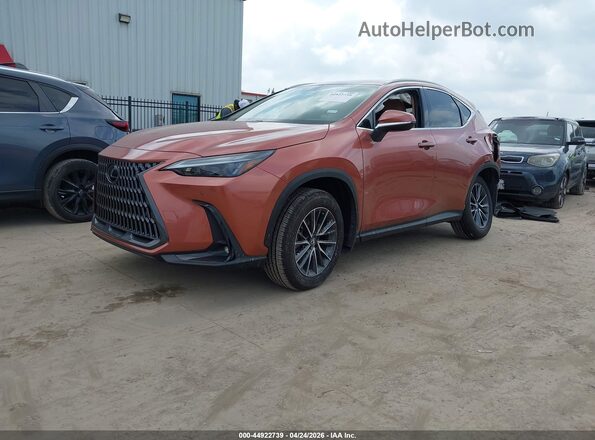 2T2GGCEZ6TC108079 2026 LEXUS NX 350 Champagne Vista tres cuartos delantera izquierda