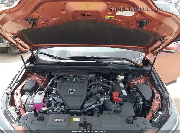 2T2GGCEZ6TC108079 2026 LEXUS NX 350 Champagne Vista trasera