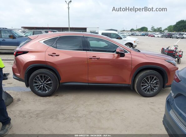 2T2GGCEZ6TC108079 2026 LEXUS NX 350 Champagne Vista interior trasera