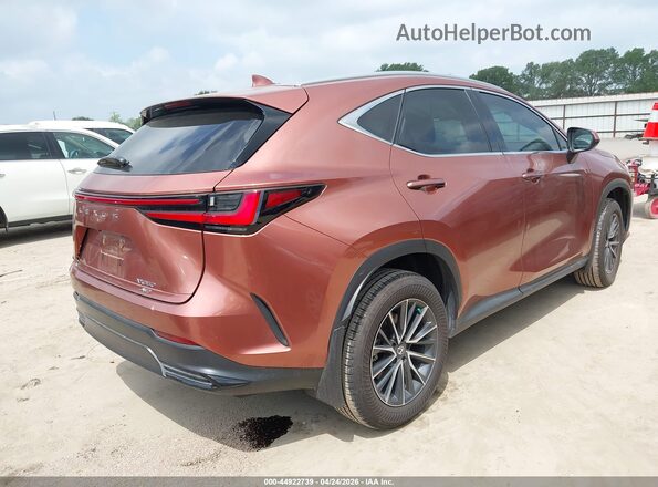 2T2GGCEZ6TC108079 2026 LEXUS NX 350 Champagne Trasero derecho