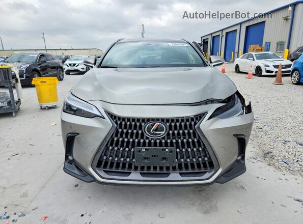 2T2GGCEZ8RC046211 2024 LEXUS NX Серый Вид спереди