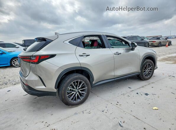 2T2GGCEZ8RC046211 2024 LEXUS NX Серый Задняя правая четверть