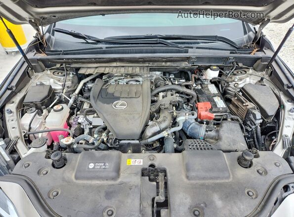 2T2GGCEZ8RC046211 2024 LEXUS NX Серый Вид подкапотного пространства