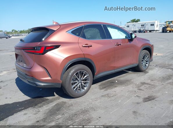 2T2GGCEZ8TC095707 2026 LEXUS NX 350 Brown Trasero derecho