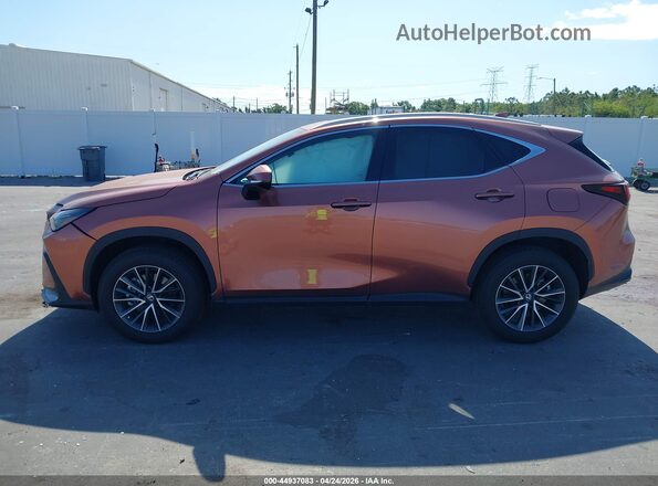 2T2GGCEZ8TC095707 2026 LEXUS NX 350 Brown Vista interior de 360 grados