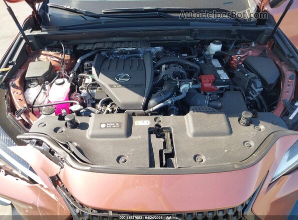 2T2GGCEZ8TC095707 2026 LEXUS NX 350 Brown Vista trasera