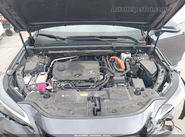 2T2GKCEZ0PC012193 2023 LEXUS NX 350H Gray Հետևի տեսք