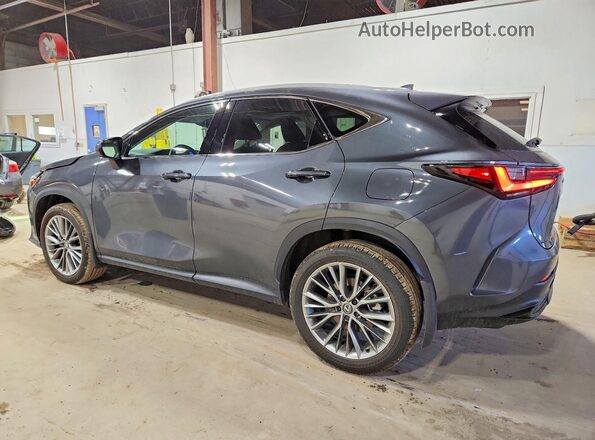2T2GKCEZ2TC062071 2026 LEXUS NX Gray 