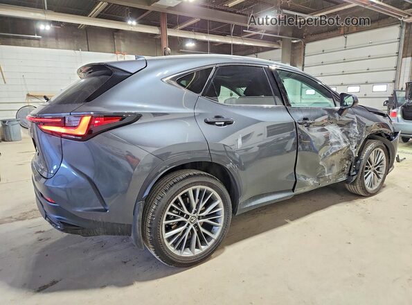 2T2GKCEZ2TC062071 2026 LEXUS NX Gray 