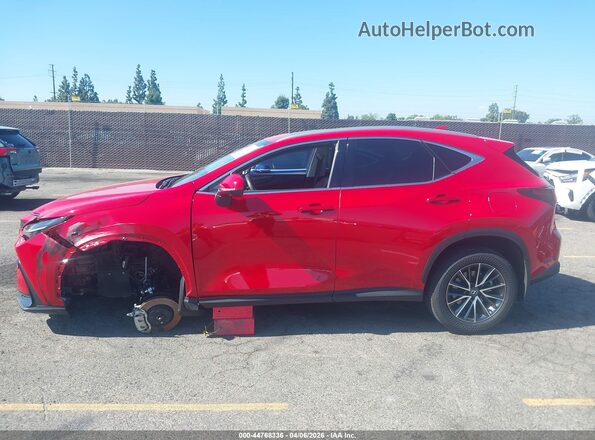 2T2GKCEZ3SC056357 2025 LEXUS NX 350H Red სალონის 360-გრადუსიანი ხედი