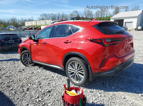 2T2GKCEZ4SC036442 2025 LEXUS NX Красный Задняя левая четверть