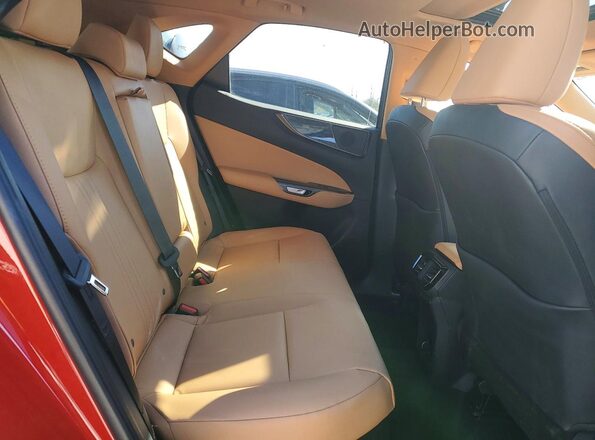 2T2GKCEZ4SC036442 2025 LEXUS NX Красный Вид задней части салона