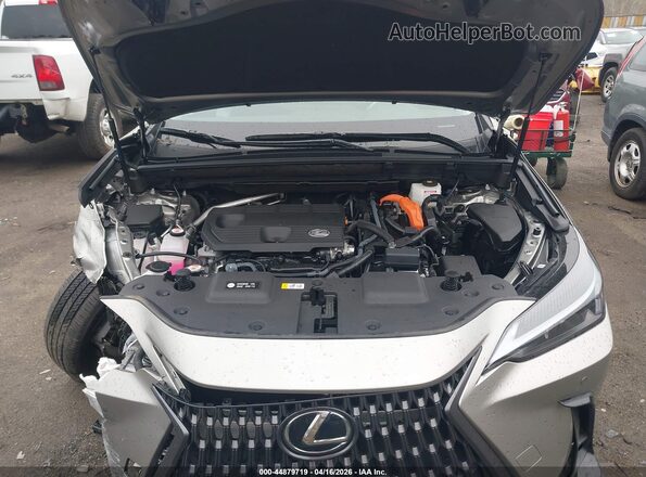 2T2GKCEZ4TC062041 2026 LEXUS NX 350H Tan Widok z tyłu