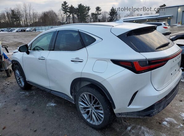 2T2GKCEZ5PC009919 2023 LEXUS NX White Задня ліва чверть