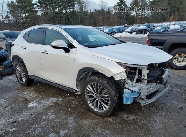 2T2GKCEZ5PC009919 2023 LEXUS NX White Передня права чверть
