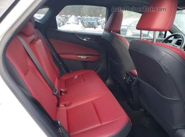 2T2GKCEZ5PC009919 2023 LEXUS NX White Вид задньої частини салону
