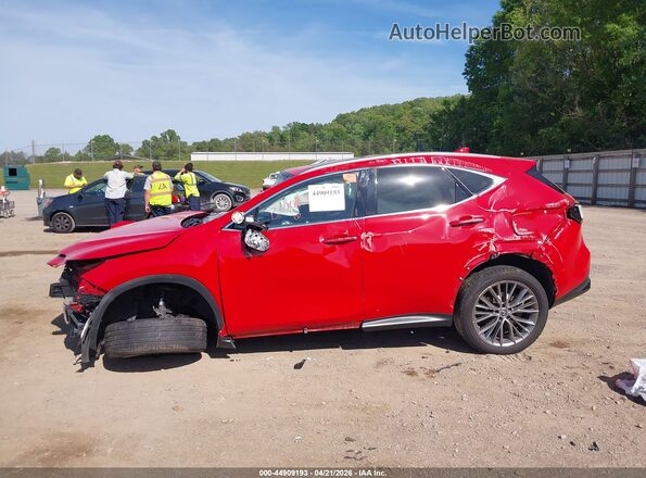 2T2GKCEZ6PC009833 2023 LEXUS NX 350H Red Rear interior view
