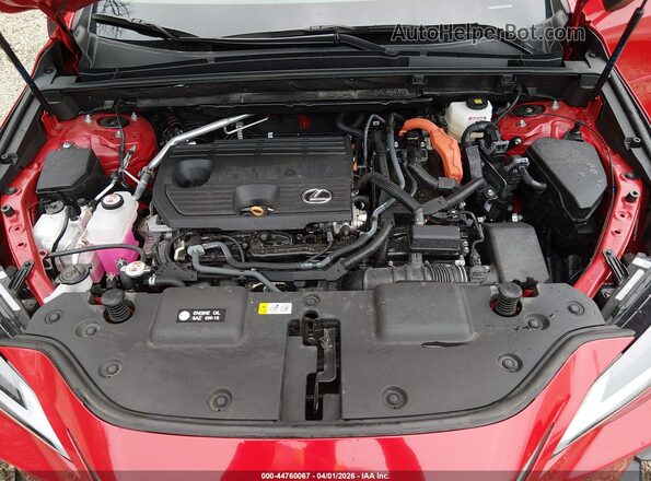 2T2GKCEZ6SC040296 2025 LEXUS NX 350H Red Rear view