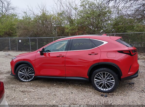 2T2GKCEZ6SC040296 2025 LEXUS NX 350H Red 360 interior view