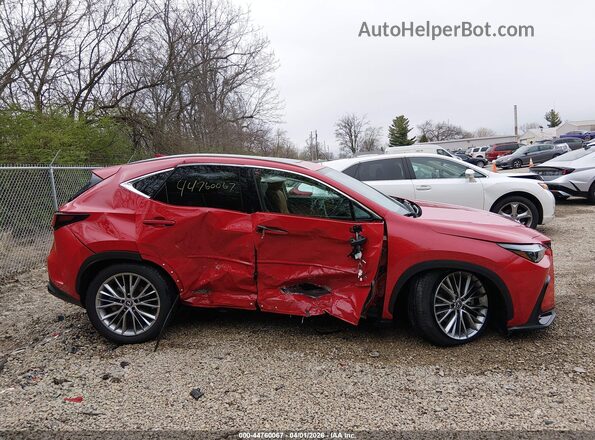 2T2GKCEZ6SC040296 2025 LEXUS NX 350H Red Rear interior view