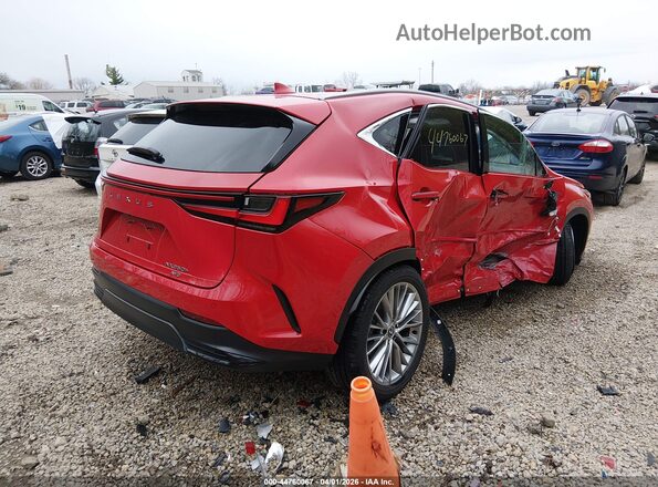 2T2GKCEZ6SC040296 2025 LEXUS NX 350H Red Rear right