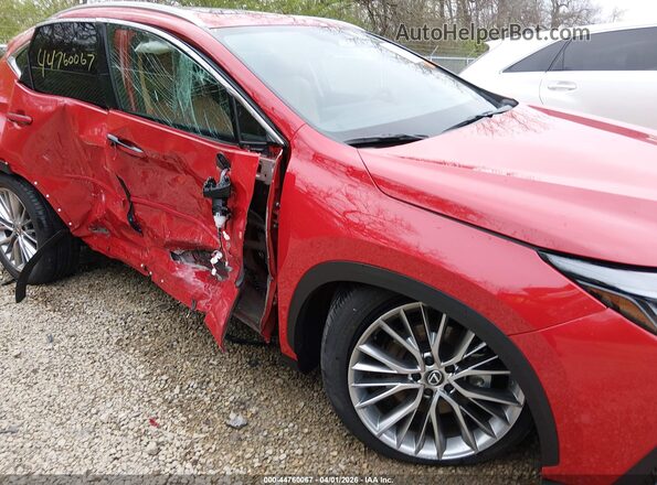 2T2GKCEZ6SC040296 2025 LEXUS NX 350H Red 