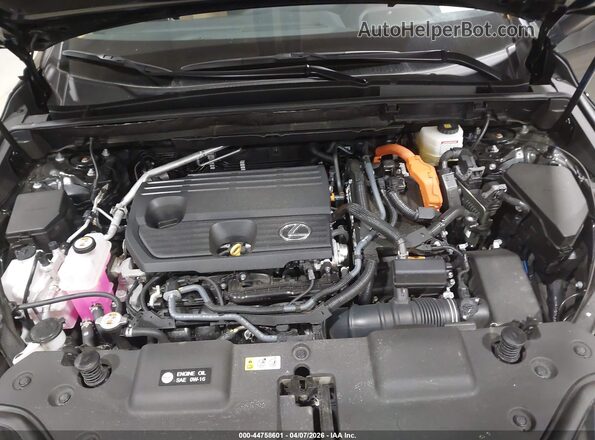 2T2GKCEZ7SC046544 2025 LEXUS NX 350H Beige Вид ззаду