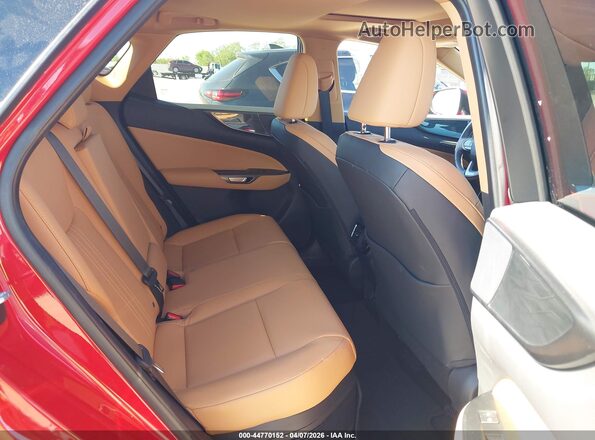 2T2GKCEZ8RC029648 2024 LEXUS NX 350H Red VIN კოდის სტიკერის ხედი