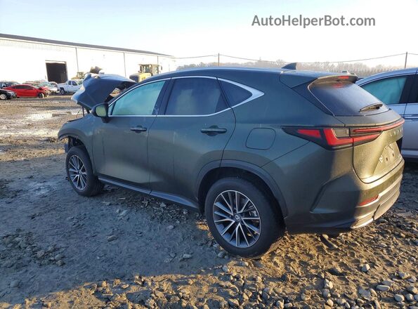 2T2GKCEZ8TC058221 2026 LEXUS NX Green Հետևի ձախ