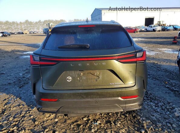 2T2GKCEZ8TC058221 2026 LEXUS NX Green Հետևի տեսք