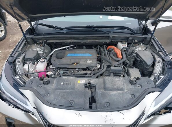 2T2GKCEZXSC042939 2025 LEXUS NX 350H Tan Հետևի տեսք