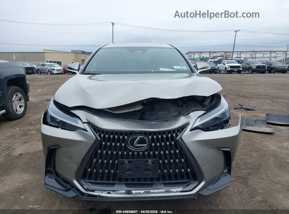 2T2GKCEZXSC042939 2025 LEXUS NX 350H Tan Սալոնի հետևի տեսք