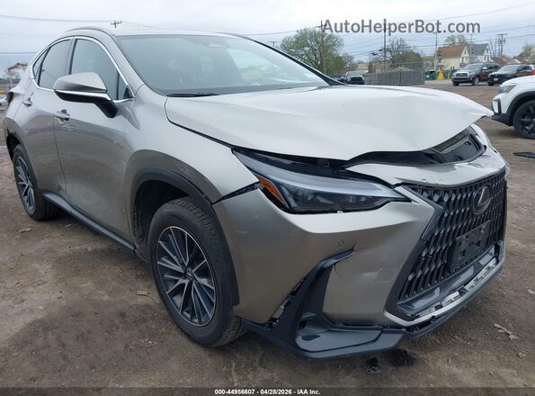 2T2GKCEZXSC042939 2025 LEXUS NX 350H Tan Դիմացի տեսք
