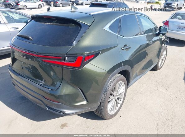 2T2HGCEZ2RC054941 2024 LEXUS NX 350 Green Trasero derecho