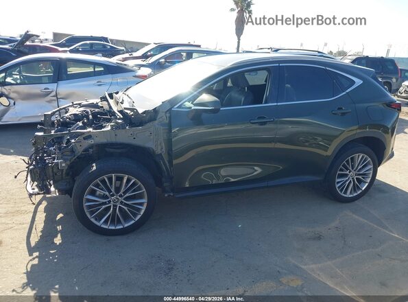 2T2HGCEZ2RC054941 2024 LEXUS NX 350 Green 