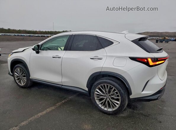 2T2HGCEZ5SC091990 2025 LEXUS NX White Trasero izquierdo