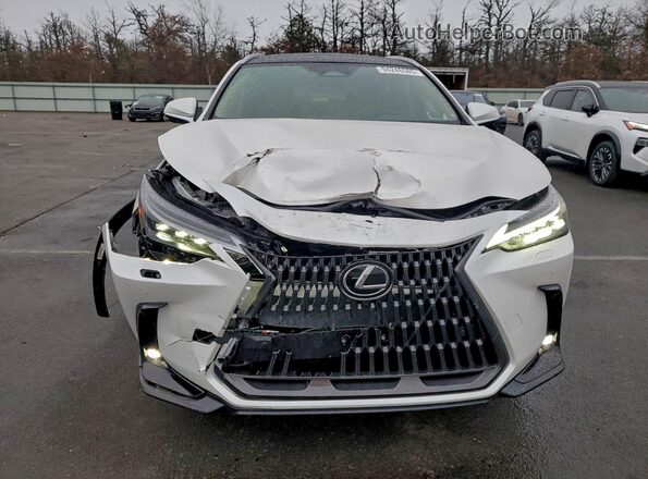 2T2HGCEZ5SC091990 2025 LEXUS NX White Vista frontal