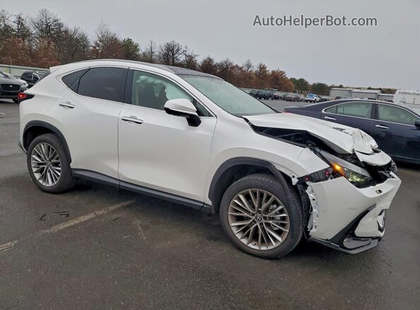 2T2HGCEZ5SC091990 2025 LEXUS NX White Delantero derecho
