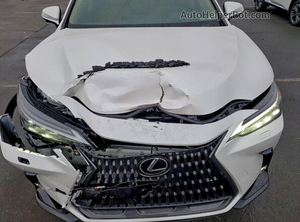 2T2HGCEZ5SC091990 2025 LEXUS NX White Vista del compartimento del motor