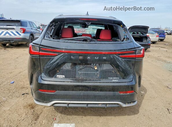 2T2KGCEZ0RC032653 2024 LEXUS NX Black Вид ззаду