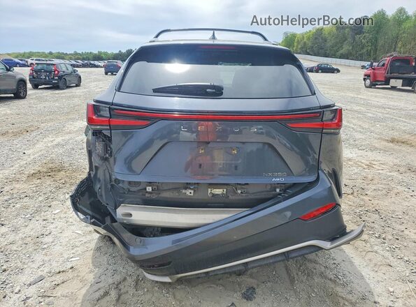 2T2KGCEZ1RC035951 2024 LEXUS NX Gray Widok z tyłu
