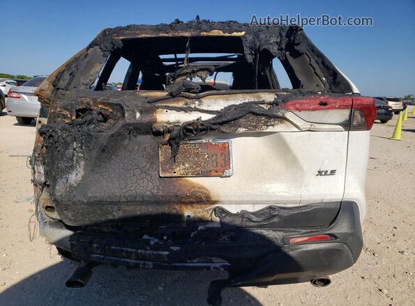 2T3C1RFV3KC031020 2019 TOYOTA LE Burn Rear view