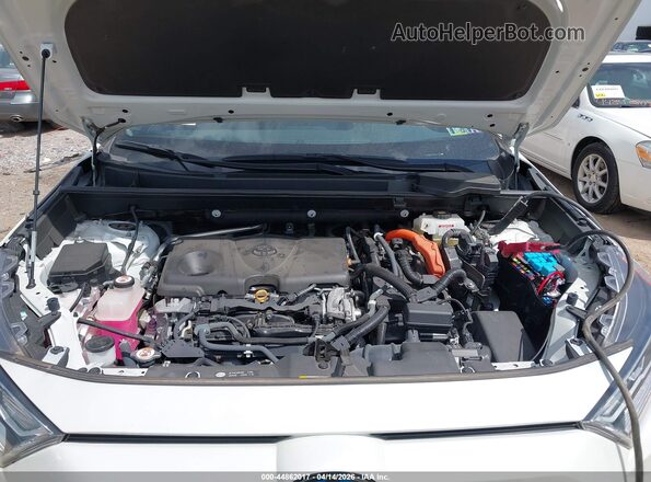 2T3DWRFV2LW072356 2020 TOYOTA LIMITED White Rear view