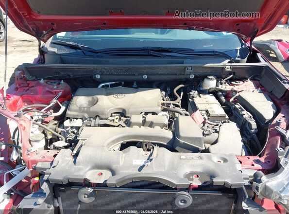 2T3G1RFV5PW335702 2023 TOYOTA LE Red Հետևի տեսք