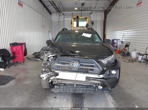 2T3J1RFV5PW353493 2023 TOYOTA RAV4 Черный Вид задней части салона