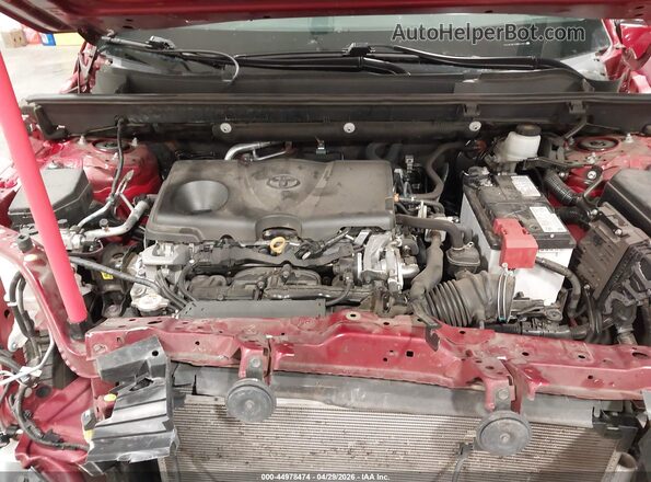2T3P1RFV2MW241823 2021 TOYOTA LE Red Հետևի տեսք