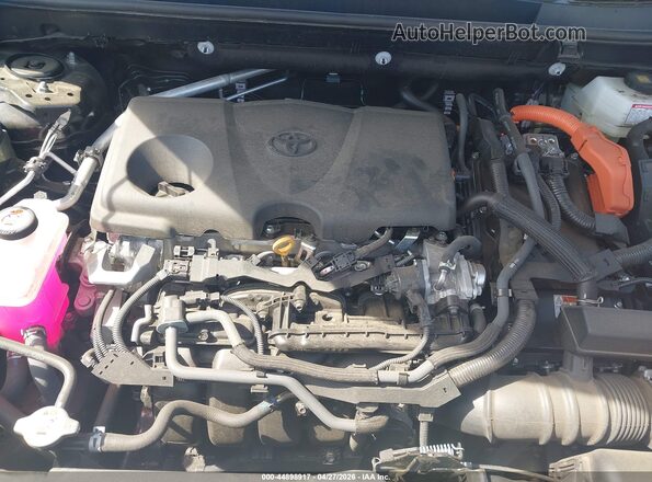 2T3RWRFV5SW281787 2025 TOYOTA LE Black Widok z tyłu