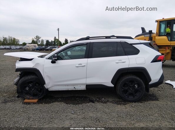 2T3S1RFV6PW386460 2023 TOYOTA RAV4 White 