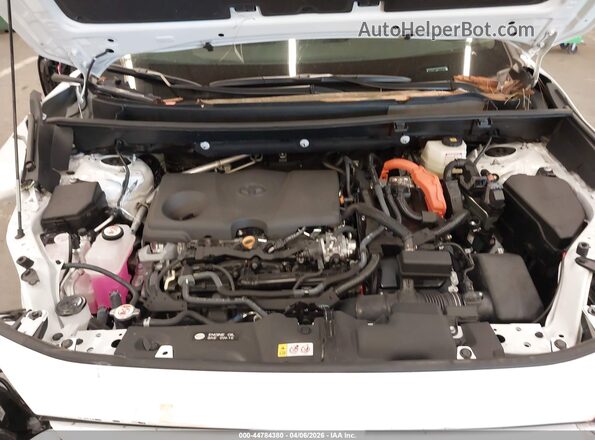2T3UWRFV1SW282669 2025 TOYOTA RAV4 HYBRID White Հետևի տեսք