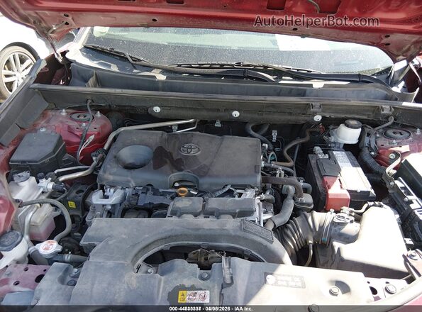 2T3Y1RFV4KW034142 2019 TOYOTA LIMITED Maroon Հետևի տեսք